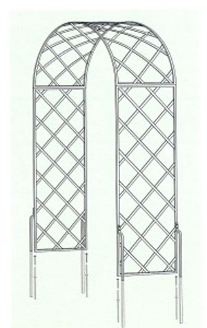 Romansk Rosenbue Bagatelle R5-200-C